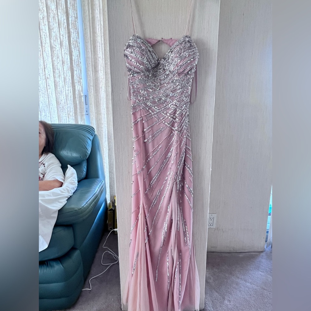 Baby Pink Sequin Gown